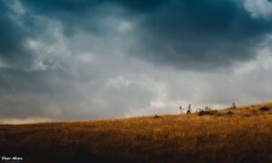 nunta bucuresti,fotograf bucuresti,fotograf premiat,enisala-40